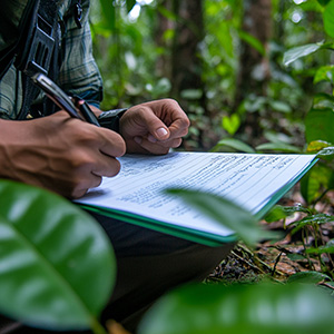 Preliminary Environmental Authorization